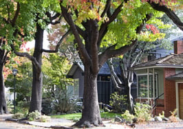 It's the most perilous time of year to overprice a home: Opendoor