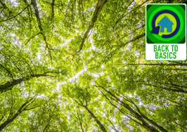 7 secrets to sustainable team growth
