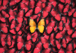 Are you truly a market pro? 3 ways to stand out in a sea of agent 'experts'