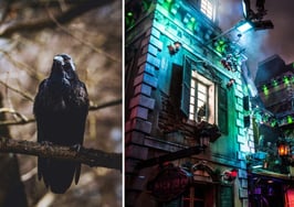 Homeowners association rules are as spooky as the grim reaper: Study