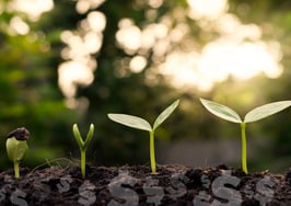 DwellWell, a buyer-agent matching solution, raises $4.5M seed round