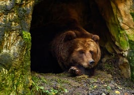 Sign of the times: What the market could be signaling